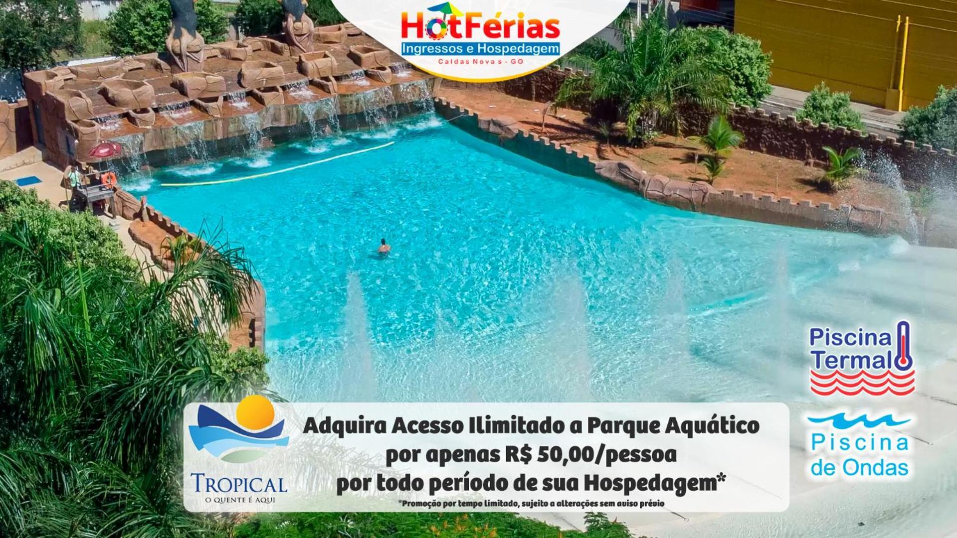Golden Dolphin Express: Beachside Comfort With 24/7 Pools