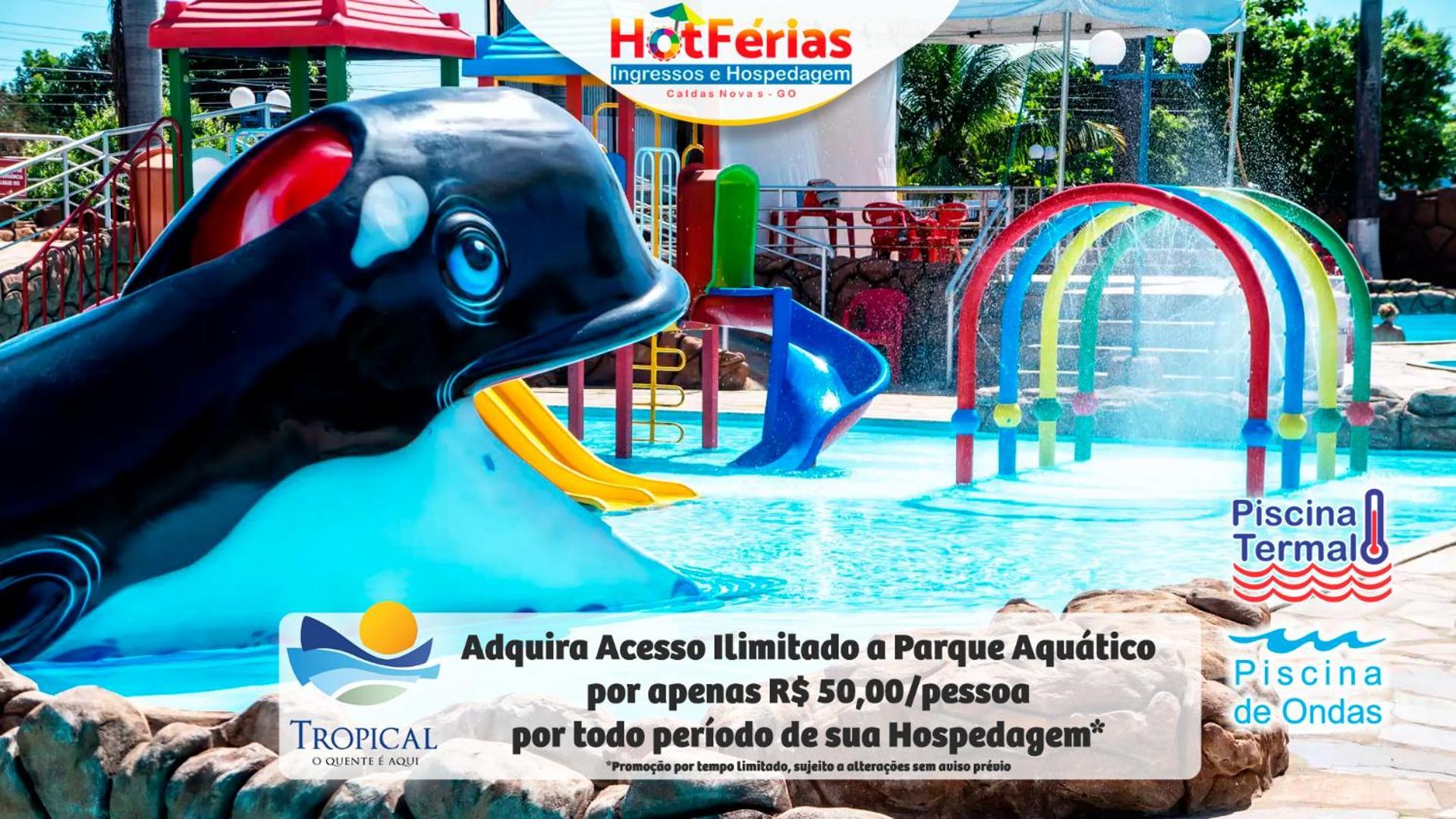 Golden Dolphin Express: Beachside Comfort With 24/7 Pools Apartment *